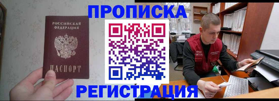 прописка в Ельне